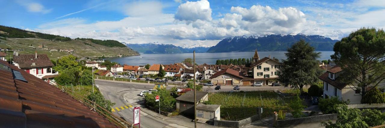 Charmante Maison Au Coeur Du Lavaux, Cully, Cuisine, Wifi, Les Echalas Zewnętrze zdjęcie
