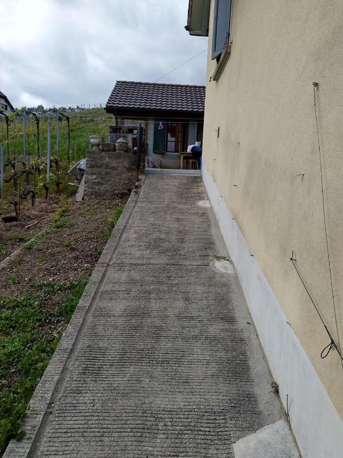 Charmante Maison Au Coeur Du Lavaux, Cully, Cuisine, Wifi, Les Echalas Zewnętrze zdjęcie